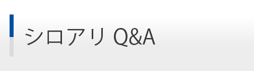 シロアリQ＆A